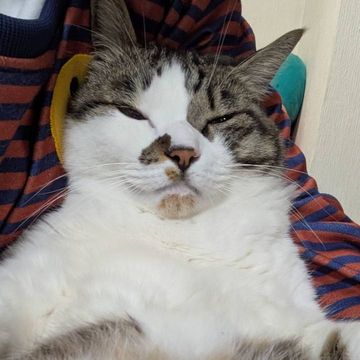 8a4140f4 3220 475f 8f59 675753e48d66 1773924527874