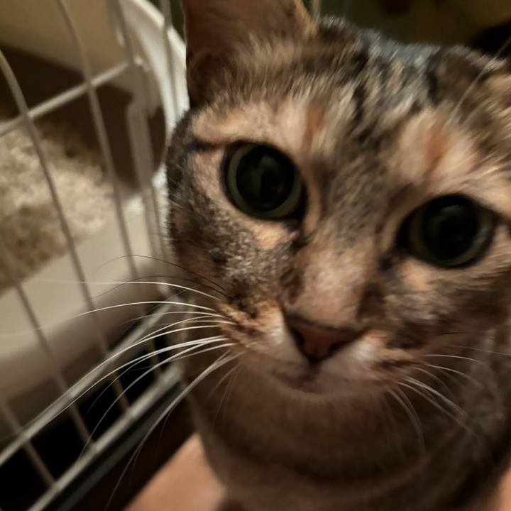 8a4161da faac 4879 9b06 b73f405adae8 1719149809544