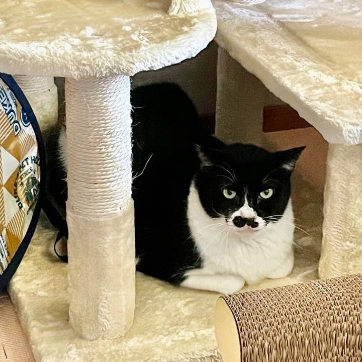 8a41755c c244 45bc 9550 71de7714ad0a 1697981262399