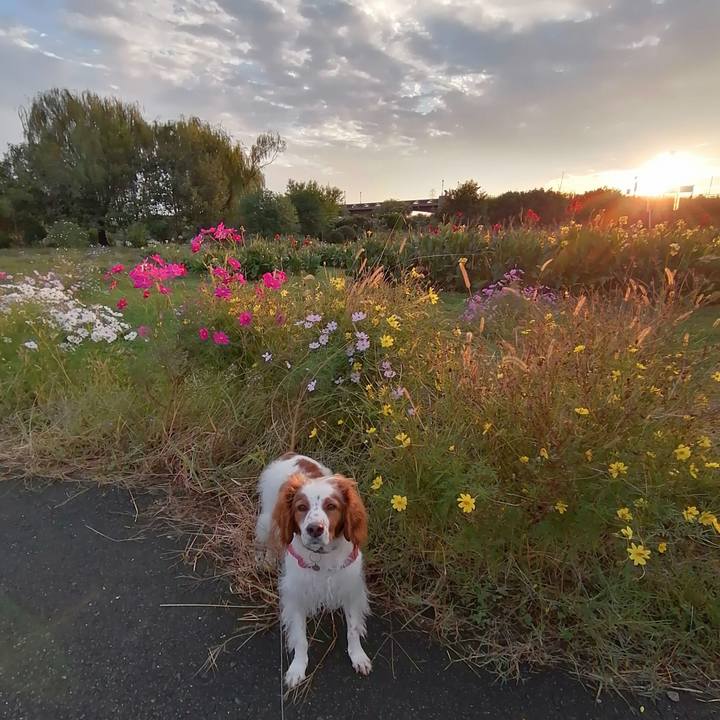 8a41b445 afa3 433b b981 392188124d17 1603107961975