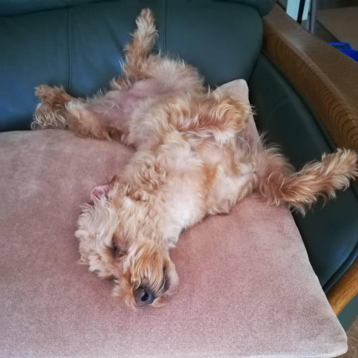 8a41d58e 9f5a 4b9a 8a35 42fa2b238966 1562977108664