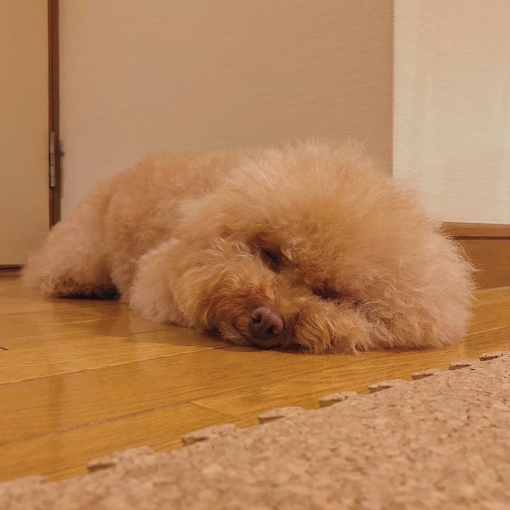 8a41e807 41b7 4af7 873c 97ad2194078d 1532693748704