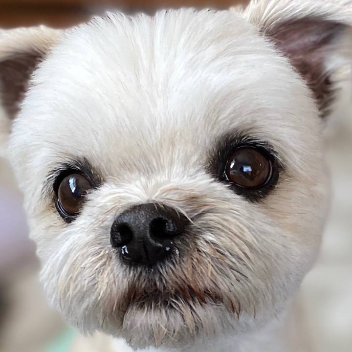 8a41ffa6 1ee4 4d21 a6a5 c81e8ec41620 1590216410413