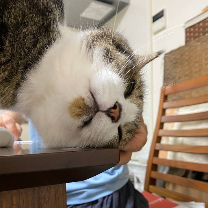 8a422e4b 2961 4012 99d9 39f329fe084d 1662363445006