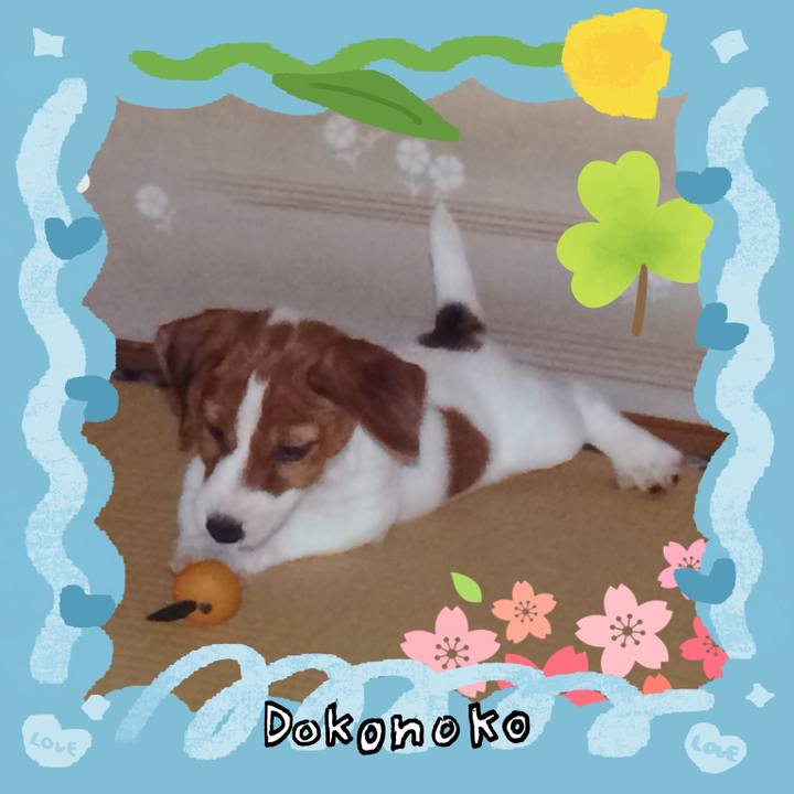 8a4247fd 6021 4c6c aedc b07820a0a14a 1772028778790