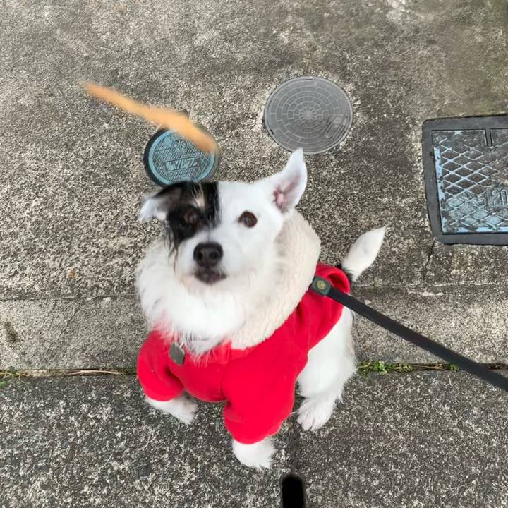 8a4286bd 9797 4f9c 84e9 ed576ac8cdf7 1734046201045