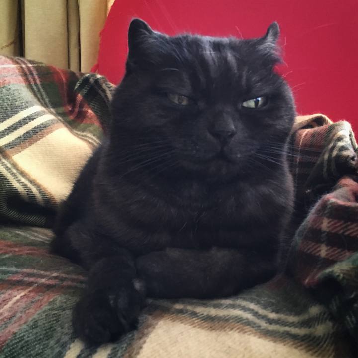 8a429a05 8457 4f09 a196 3df21f6b4d46 1553217906015