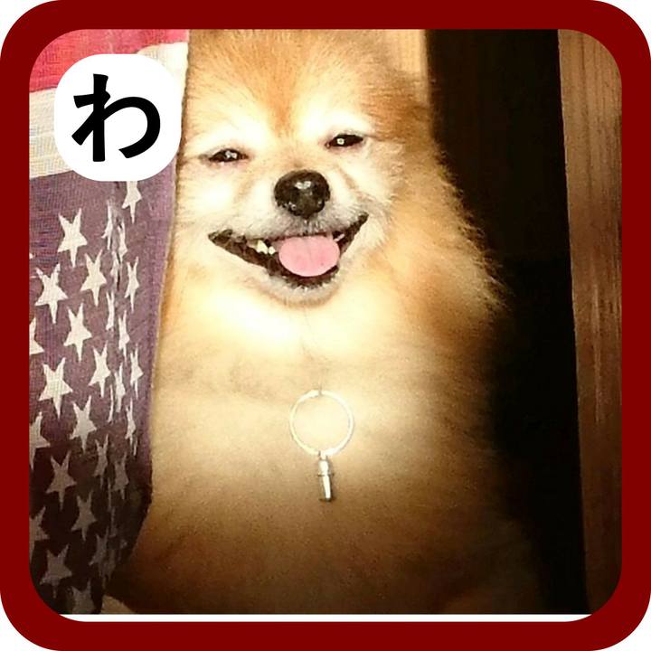 8a42a044 ee30 454f 959e 1009666a0dbf 1514791315982