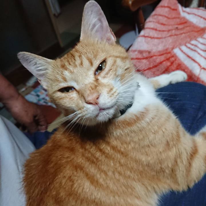 8a42d816 3499 49b3 a4a0 7363f11c9432 1593548637466