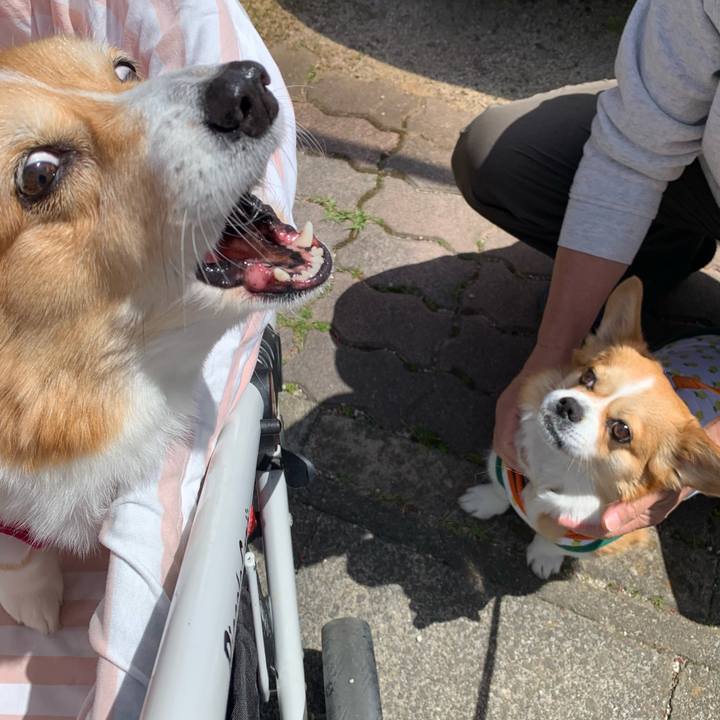 8a42e360 aa2d 4a69 a3ed 5cd889d22559 1713494366521