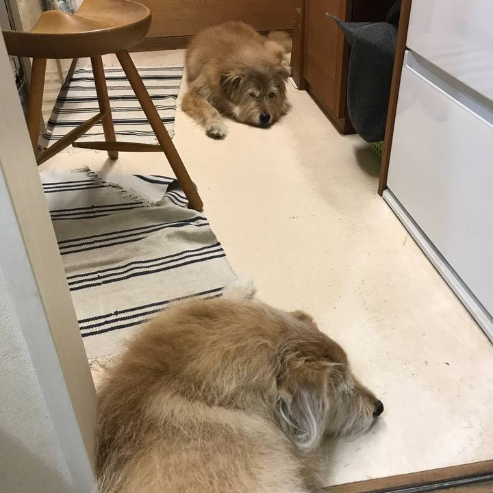 8a42effc 6ce1 4e64 a064 c901f9806a69 1613400849114