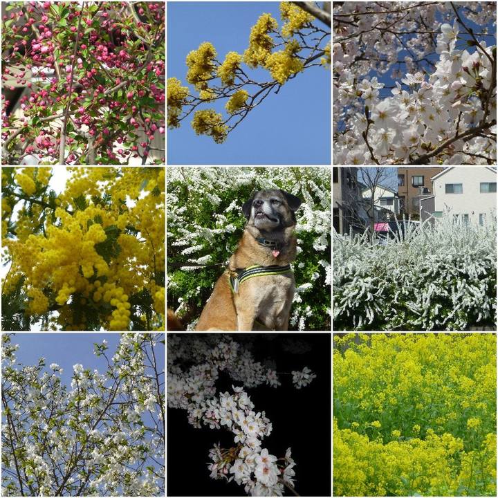 8a432160 c143 4078 8058 8741208e4453 1581468592409