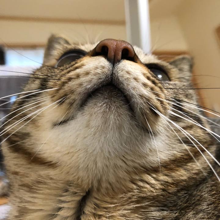 8a4370b6 055c 476c 8aad b156721bfe44 1518955581683