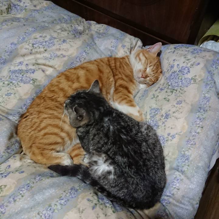 8a43797f 1f07 4f76 a7ec 767453af0ab4 1579350138442