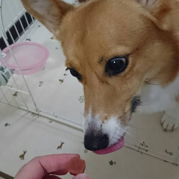 8a43bf7f 0e82 4705 9fa2 13f635aaeab6 1532758102023