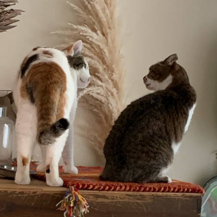 8a43d1f5 f556 43ac ac97 b3c3ab277988 1661997230044