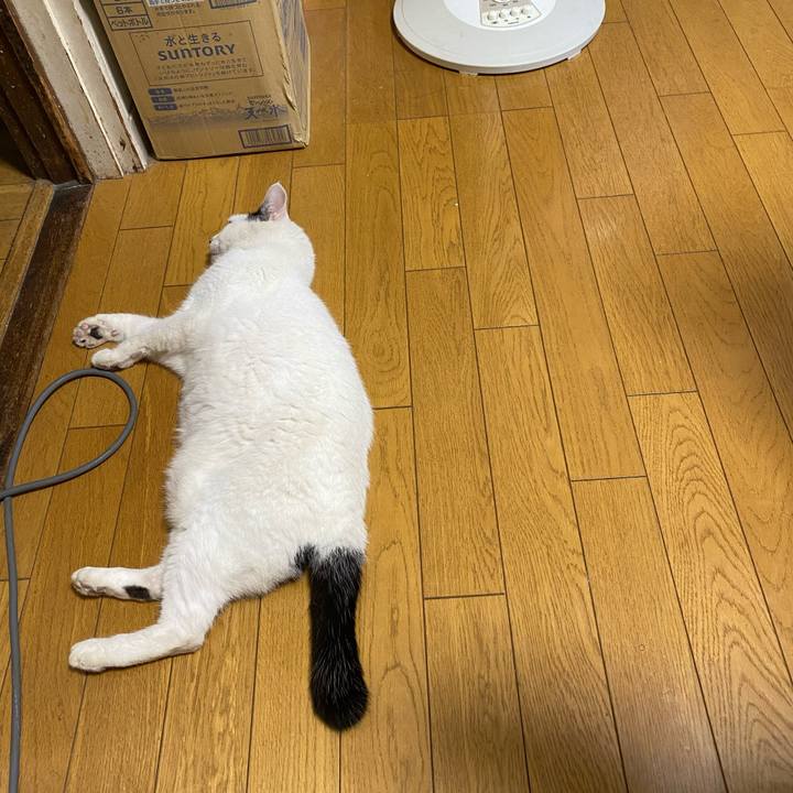 8a43ff77 c2bb 497d 9c69 353f995eaf9f 1598632509160