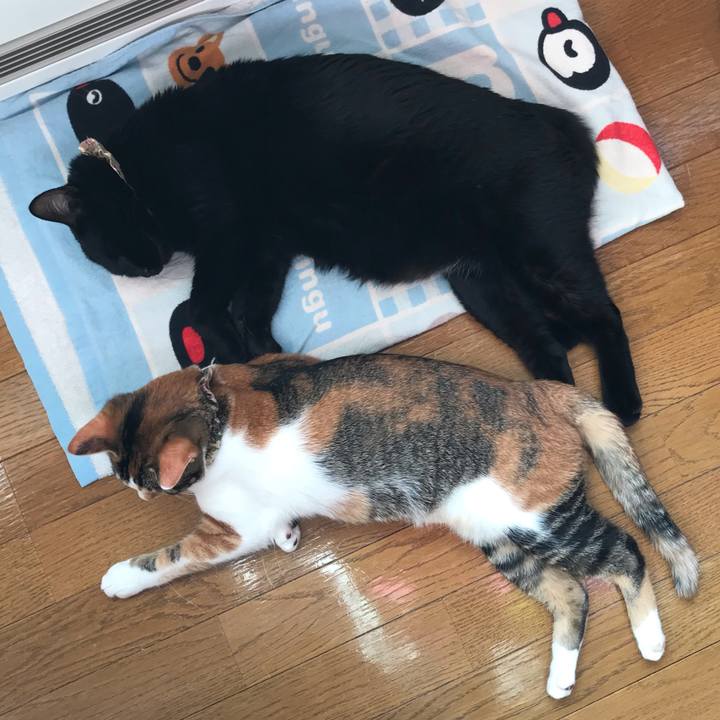 8a4401e9 52af 4249 81dd 5823ef086b38 1611453880064