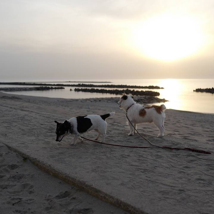 8a441341 5c53 4917 a533 08bfd93fd273 1556079482572