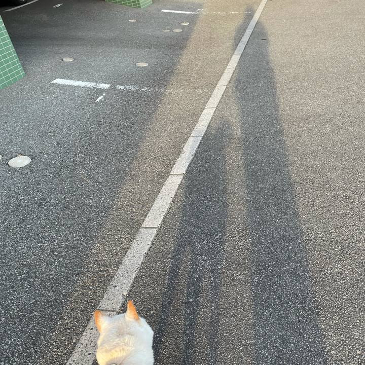 8a446ec0 83f4 439c 85fa 3337385f8667 1634903122380