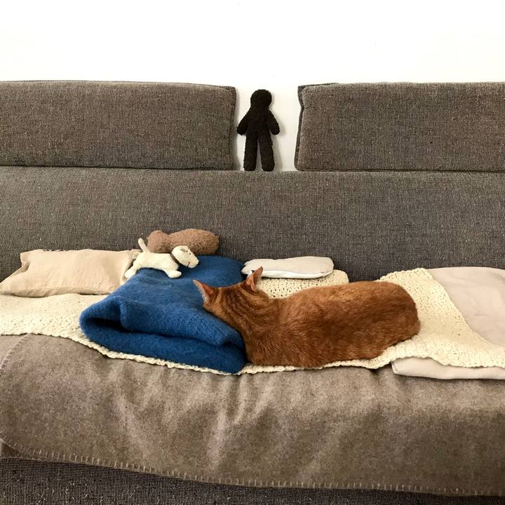 8a449d88 759d 44d5 854a 987c443d9740 1577168657433