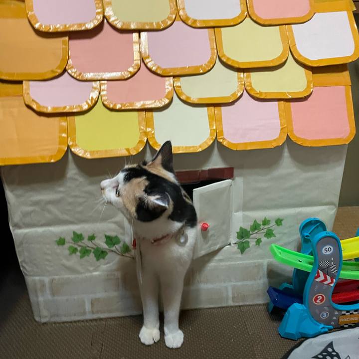 8a44bd99 07c6 4abf bb09 d642374e27d6 1670032385128