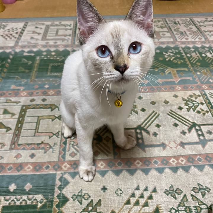 8a44d419 9703 466f a245 27bfded36ff0 1632657603752