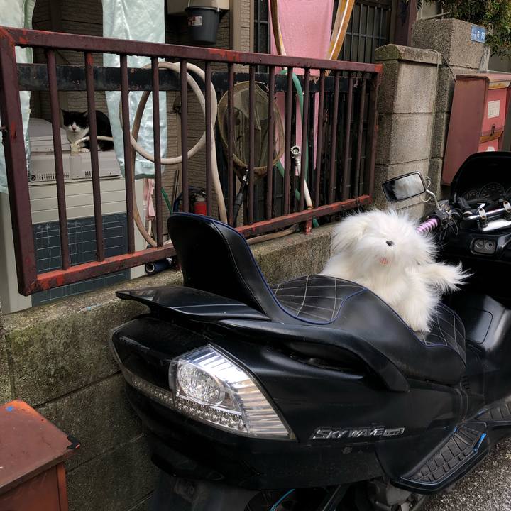 8a45310b 54a9 42b6 a426 46be20d72c8e 1656519137474