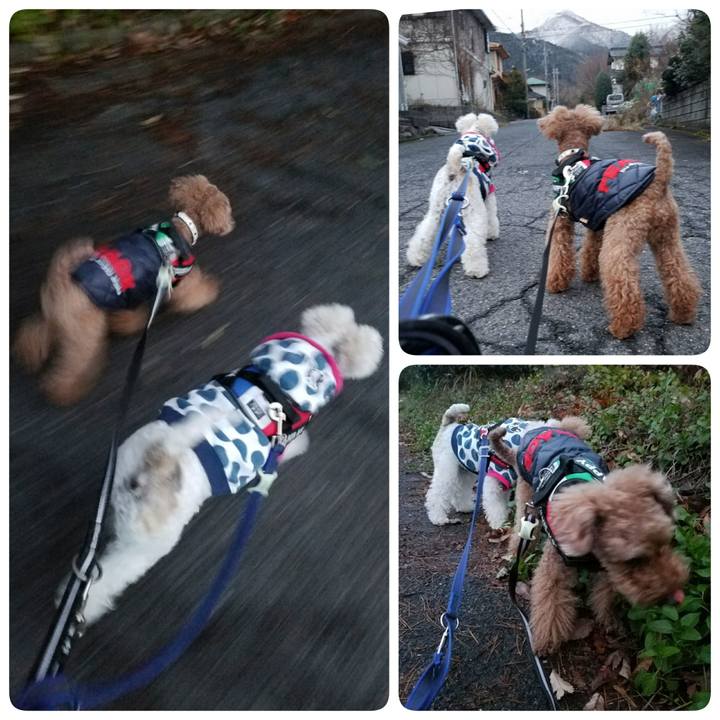 8a455436 83a5 49e7 83c2 d7872a1c2708 1514501692404