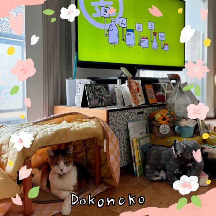 8a456864 0857 4e58 ae33 5cbd0504e31b 1711058304230