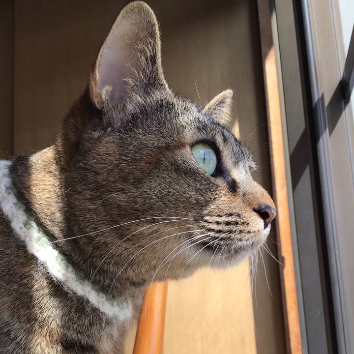 8a45ac4f 54be 4c5b a22a 0a3999fac1b9 1648099958857