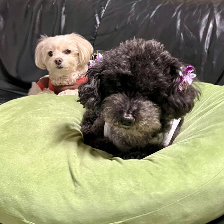 8a45b379 8c56 4bb5 aa53 81553f880ddb 1768465789350