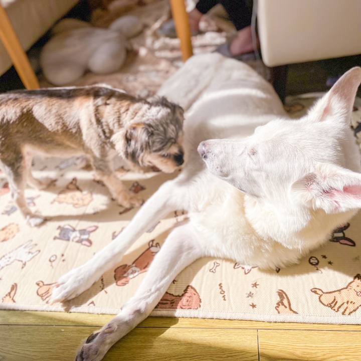 8a465101 26d2 44d2 9ee1 f6ce2fa744f5 1643514305339