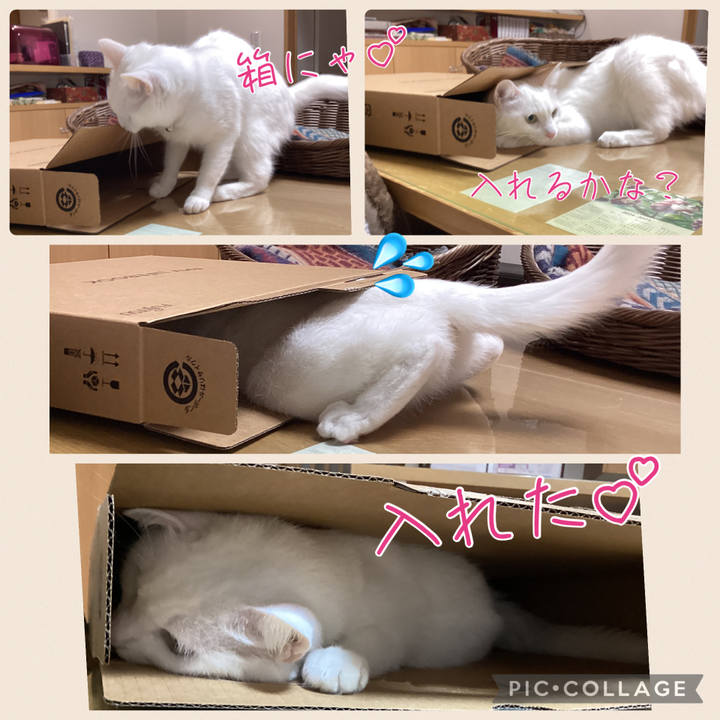 8a4688b6 7e01 4327 81e7 518a7ffaa3a0 1733907271633