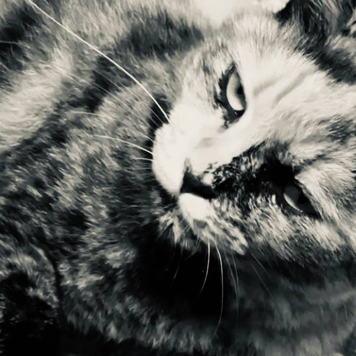 8a46afb0 560e 497b a233 9688f1d4511a 1730021746474