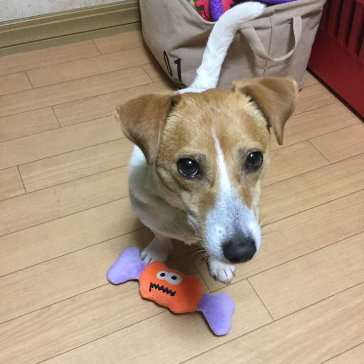 8a46b2d2 588a 4d06 adee 406a2e7a410c 1558610219984