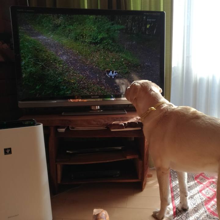 8a46badd 2826 4942 93e2 750bac54da3c 1608090713465