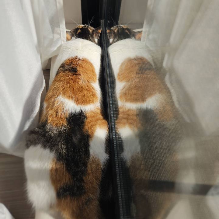 8a46e093 c083 4c1c 8696 6b017f17f5f9 1771813044879