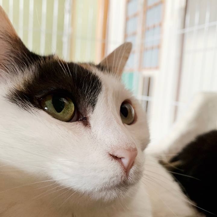 8a46f26d 8515 45e5 8093 9b6d46474f05 1553306376072