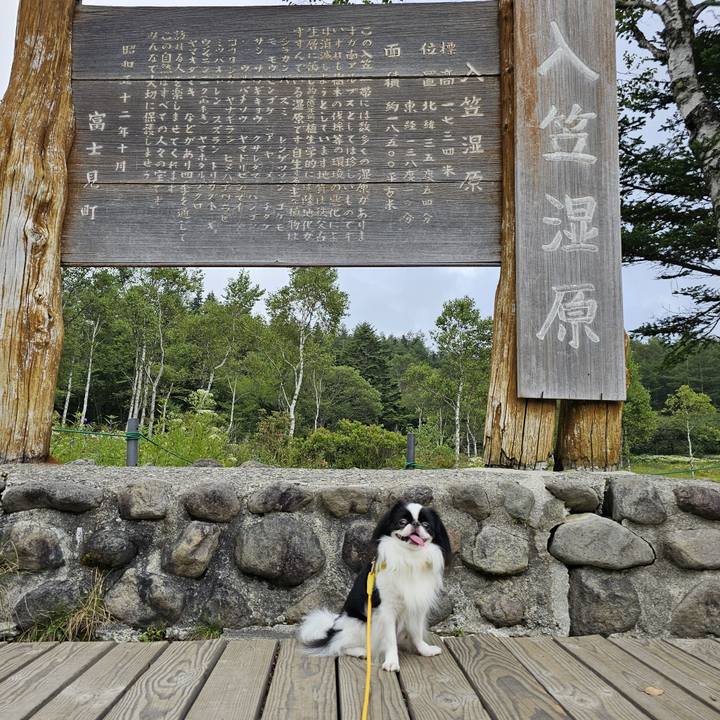 8a47265d e6ff 488c 811f 1524794bdcbd 1693454102648