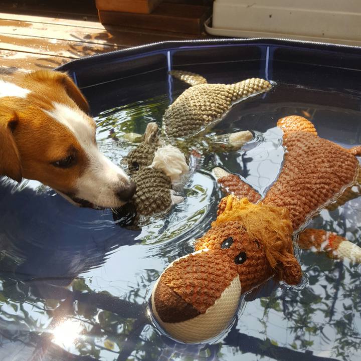 8a479a10 eeb5 4a30 aef6 9801cf8aaf4f 1564621960347