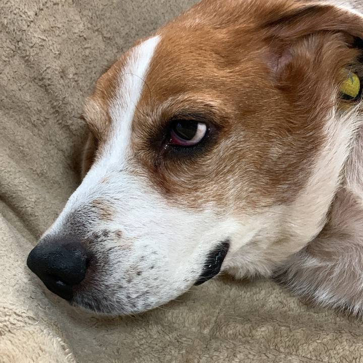 8a47b4c7 1c24 4eed 84e1 77bb1b3ff52a 1770789795542