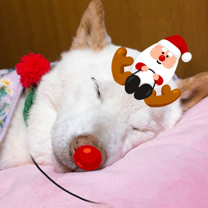 8a47eb75 4888 4a46 afcd 9873b79fbdeb 1639553984235