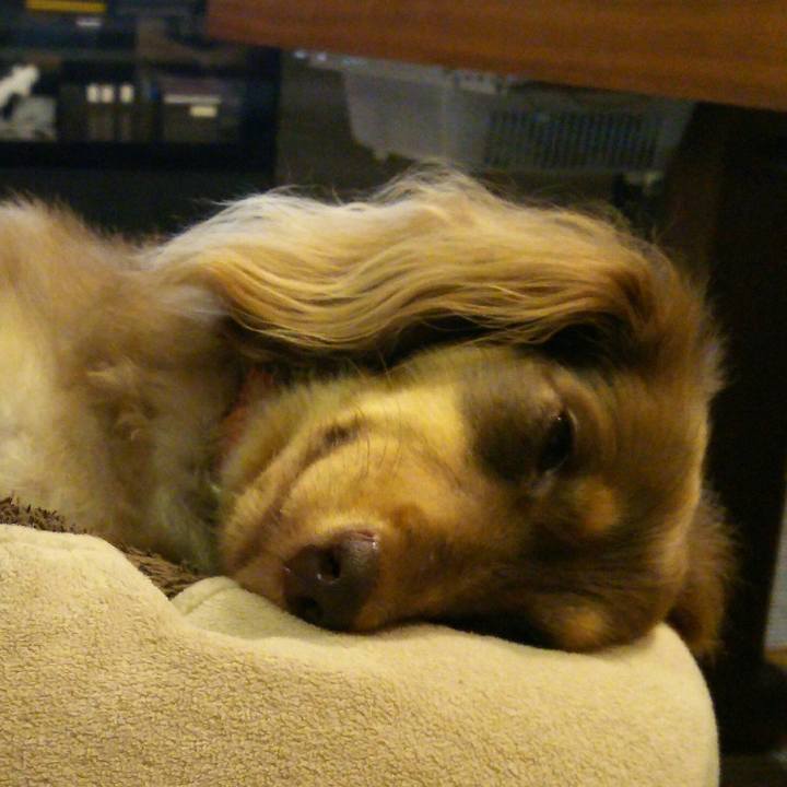 8a47fd85 1d41 425f 9e7a 6b7315f9d06f 1535725735691