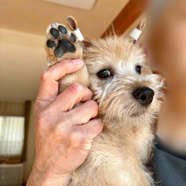 8a480cd9 002e 456a 9a06 15ddc58fd4b3 1705150539884