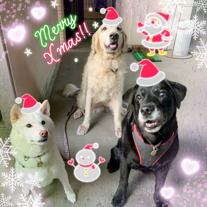 8a48d21a b55e 451f b13c b57125e82177 1608844220974