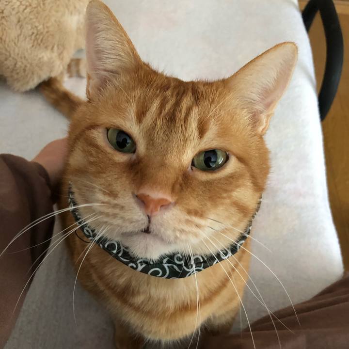 8a49abaa 4f09 4d3e b32d 19ef90532c6f 1613024497931