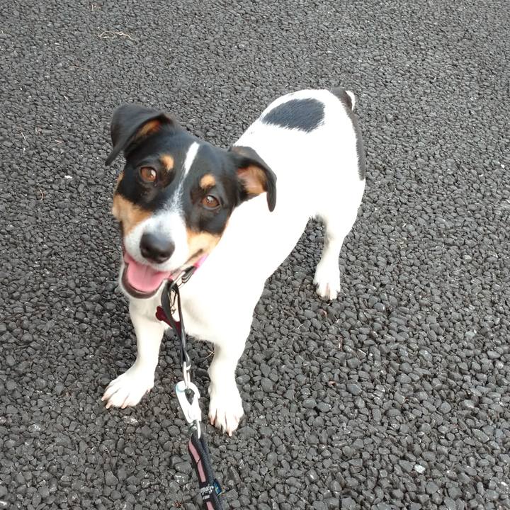 8a49b695 8590 43f0 86ed 162dd1c96e47 1564620025030