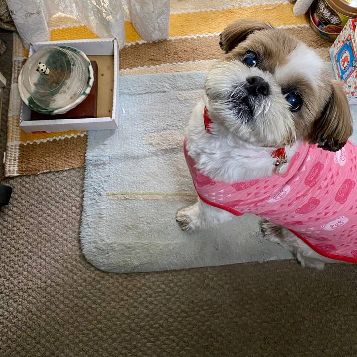 8a4a0090 6c87 4c20 afc0 586d0293ca6c 1596070941793