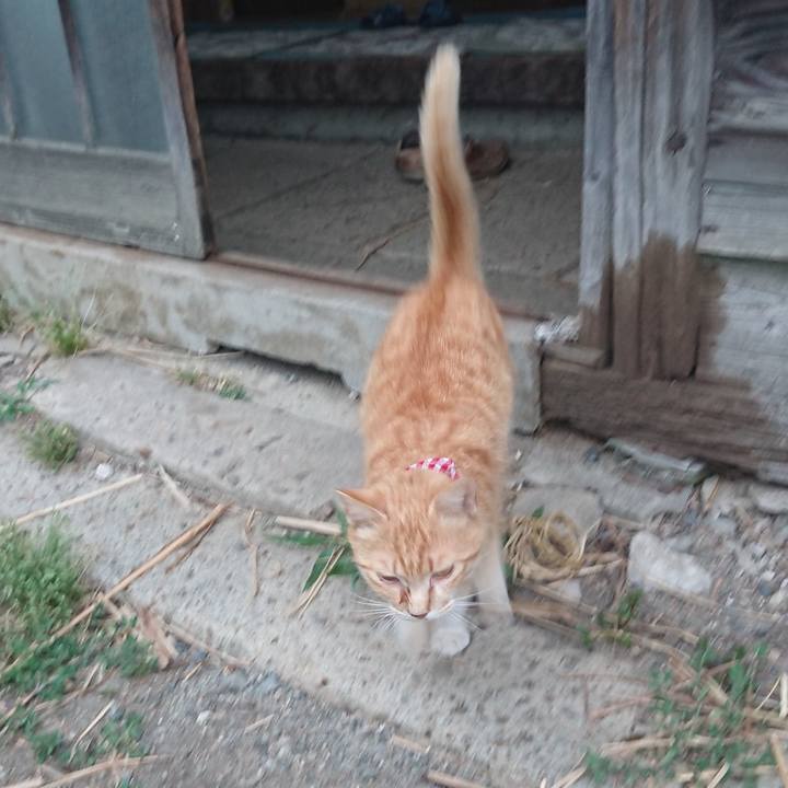 8a4a1432 f2b2 4797 9702 671b0ce526f3 1559039466533